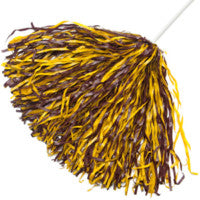 Stock Shaker Poms