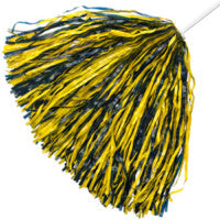 Stock Shaker Poms