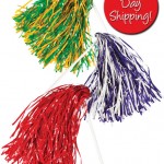 Stock Shaker Poms