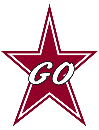 Maroon Star Temporary Tattoos