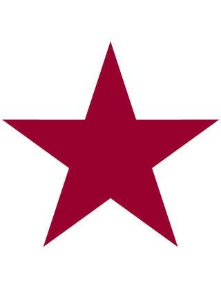 Maroon Star Temporary Tattoo