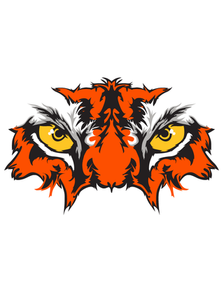 Orange Tiger Eyes Temporary Tattoo