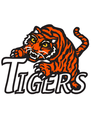 Orange Tiger Temporary Tattoo