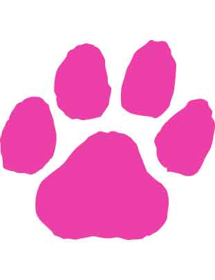 Awareness Pink Paw Print Temporary Tattoo