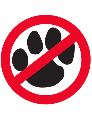 No Paw Print Temporary Tattoo