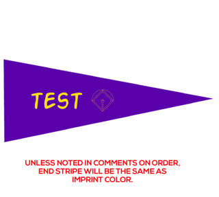 Preview of Custom Printed 8" x 18" Pennant