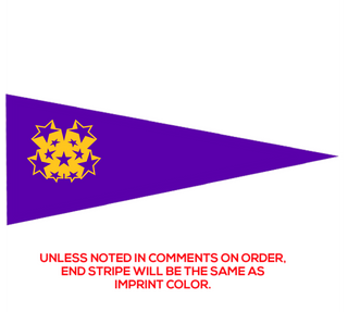 Preview of Custom Printed 9" x 24" Pennant
