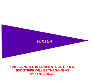 Preview of Custom Printed 9" x 24" Pennant