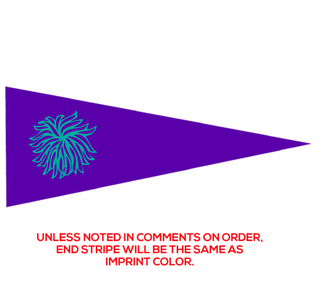 Preview of Custom Printed 12" x 30" Pennant
