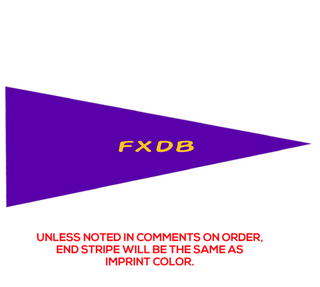 Preview of Custom Printed 9" x 24" Pennant