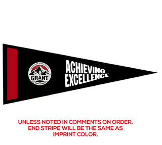 Preview of Custom Printed 9" x 24" Pennant