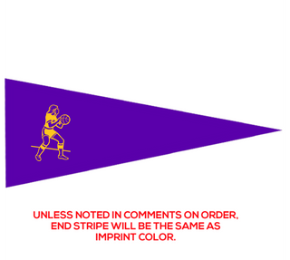 Preview of Custom Printed 12" x 30" Pennant