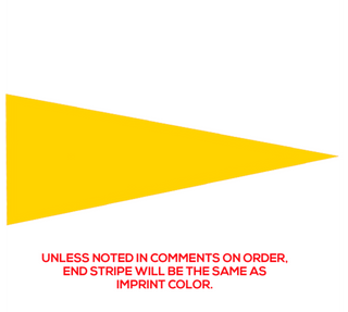 Preview of Custom Printed 12" x 30" Pennant