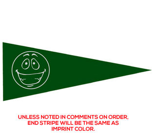 Preview of Custom Printed 12" x 30" Pennant