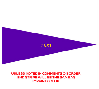 Preview of Custom Printed 8" x 18" Pennant